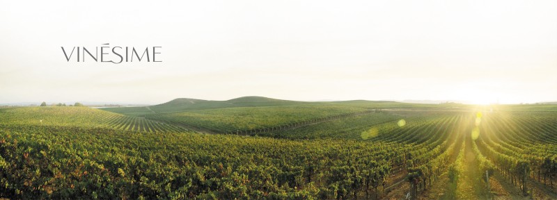 Vinesime